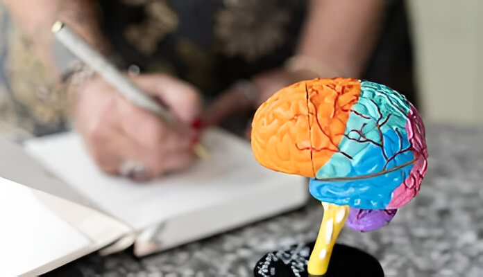 Colorful brain model foreground; person writing in blurred background—Success Look with Leanne Elich Consulting.